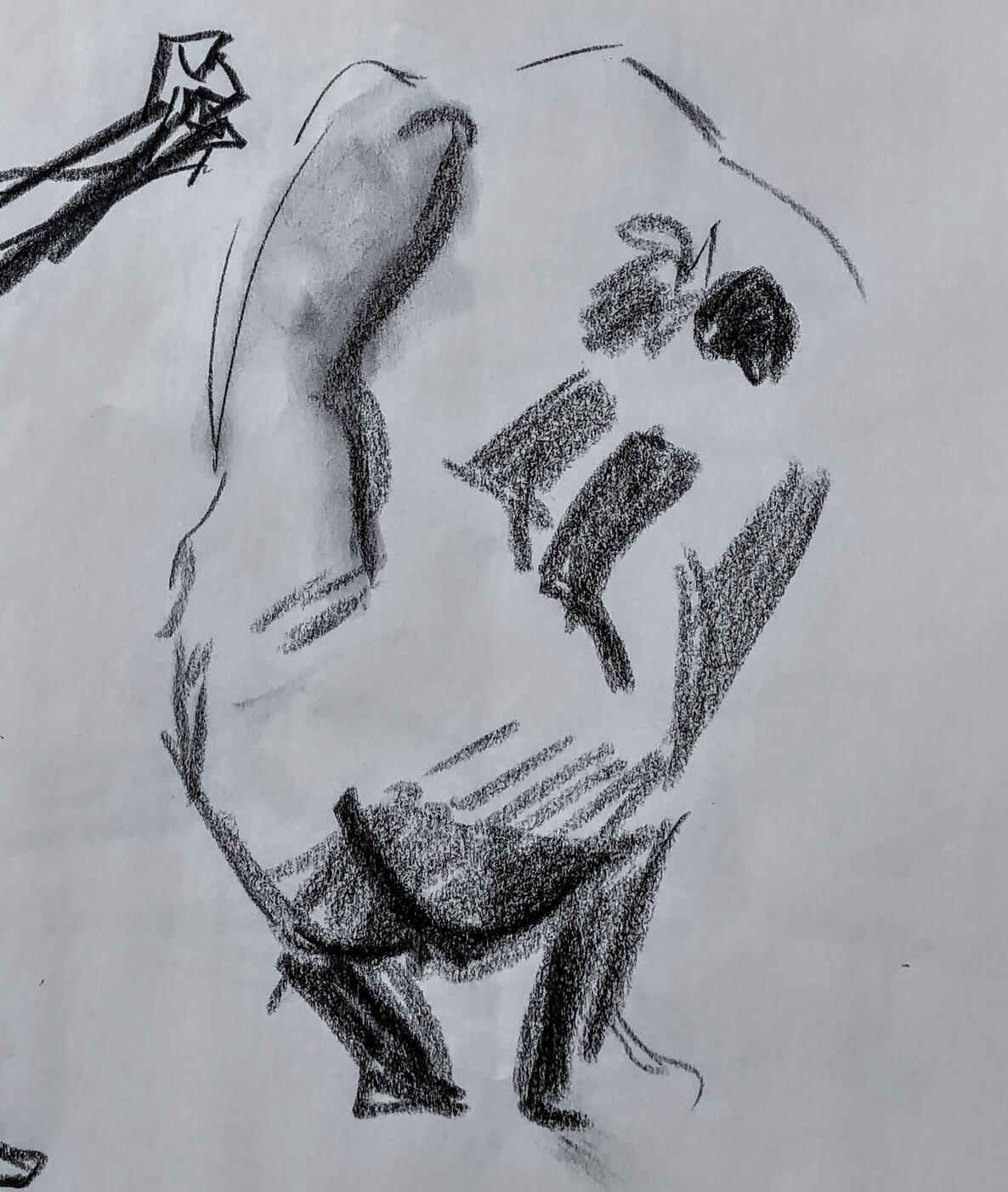 Untitled Untitled